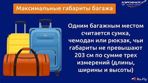 Раздел 3: Определение и значение багажа 1р10к