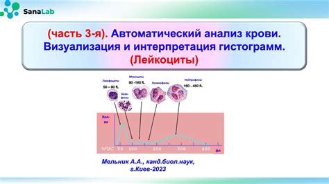 Раздел 3. Психологическая интерпретация глаза в крови