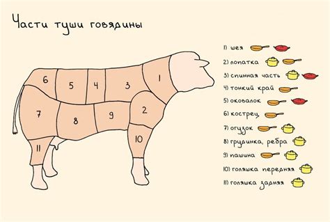 Различия во вкусе говядины и телятины