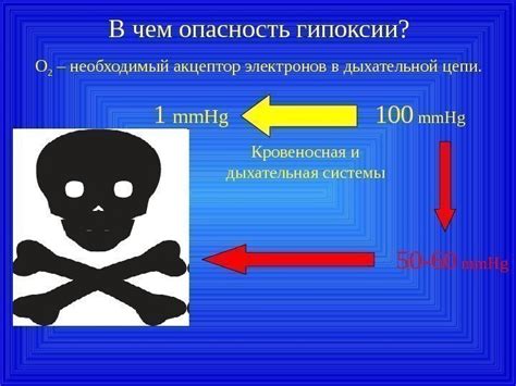 Различия в подверженности к гипоксии