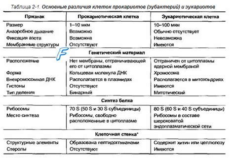 Различия между Граммидином и Лизобактом