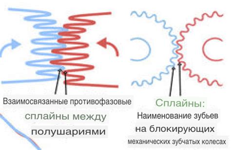 Различия между левым и правым приводом