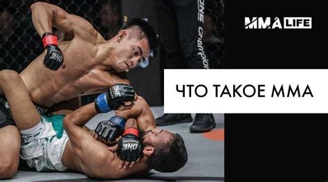 Различия между MMA и другими единоборствами