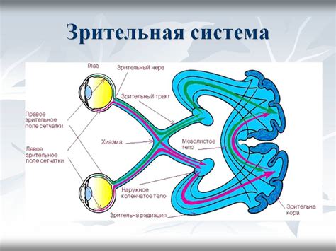 Различные виды нарушений зрения