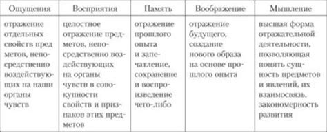 Различные виды познавательных процессов