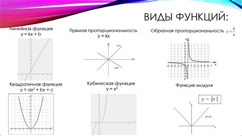 Различные виды функций и их применение