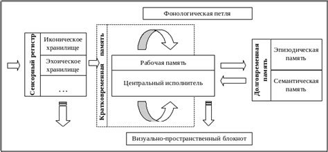 Различные теории объяснения потери памяти во сне