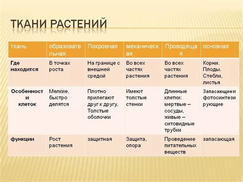 Различные типы гримуаров и их функции