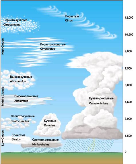 Различные типы дождя в сновидениях