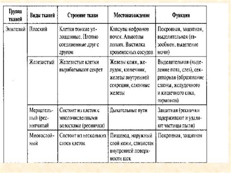 Различные типы пилинга ткани и их особенности