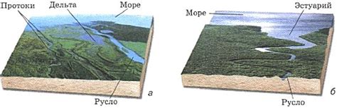 Различные типы устьев рек