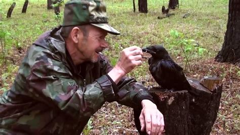 Различные трактовки сновидений, связанных с маленьким птенцом вороны