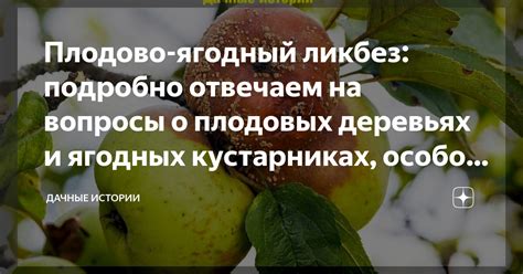 Разломленные надежды: разгадка снов о падающих плодовых деревьях
