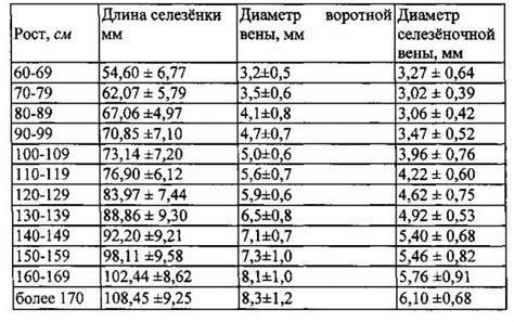 Размеры селезенки у мужчин