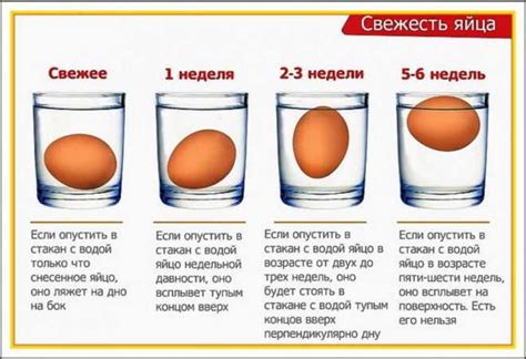 Размер яиц у мужчин: характеристика и нормы