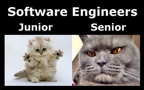 Разница между "junior developer" и "senior developer"