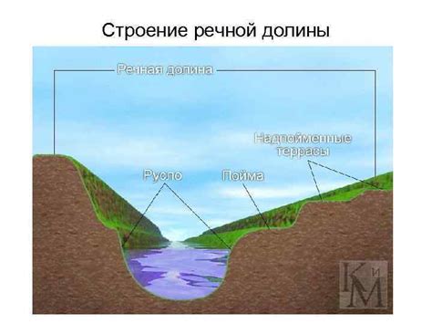 Разновидности водных основ