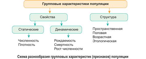 Разнообразие вида и формы