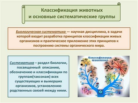 Разнообразие животных: основные принципы и значение