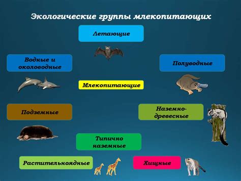 Разнообразие животных и их экологические функции