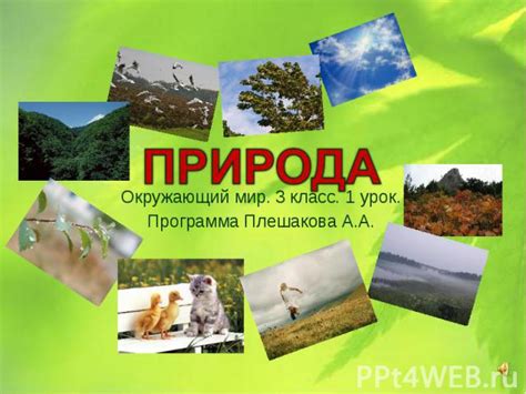 Разнообразие природы России: путешествие в мир чудес