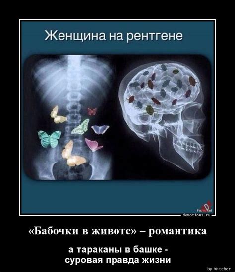 Разнообразные интерпретации снов, в которых ощущается движение в животе