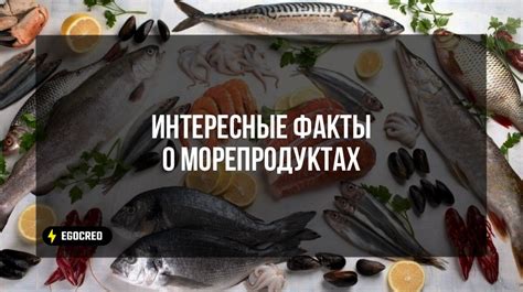 Разнообразные толкования сновидений о морепродуктах