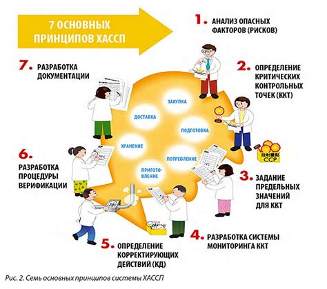 Разработка и внедрение системы контроля