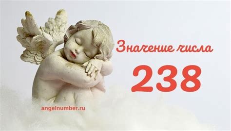 Раскодируем значение числа 238 в наших сновидениях