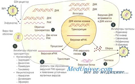 Распознание признаков инфекции