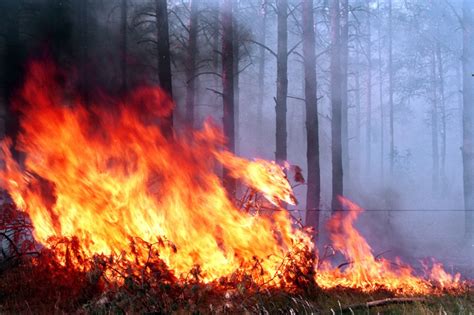 Распостранение огня: как возможное расширение пожара может привести к дополнительным разрушениям