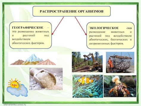 Распространение и местообитание