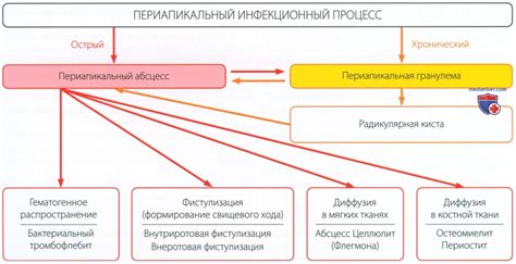 Распространение и усложнение лечения инфекций