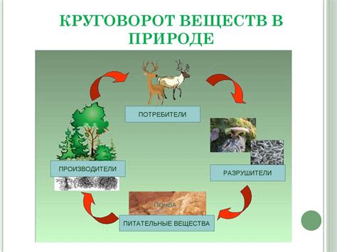 Распространение лейма в онлайн-сообществах