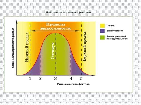 Распространение черт вне тюремной среды и их влияние на молодежь