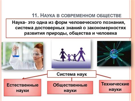 Распространенность "мыса вдовы" в современном обществе