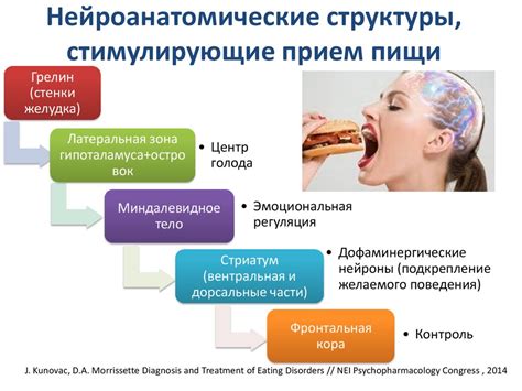 Распространенные виды нарушений пищевого поведения