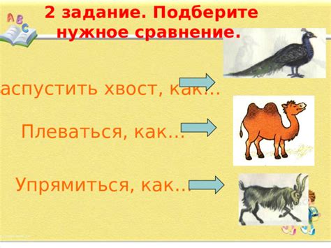 Распустить хвост: традиции и значения