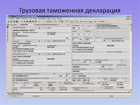 Растаможена по ГТД: основные принципы и суть процедуры