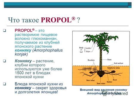 Растворимое пищевое волокно