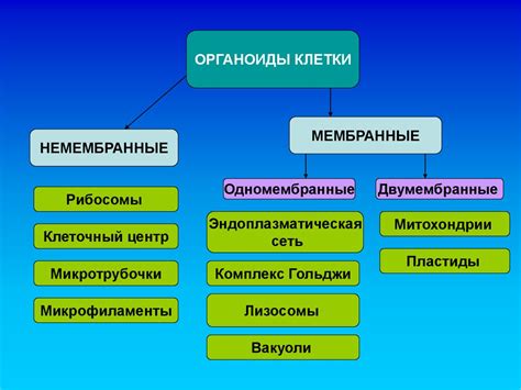 Растительное животное: сущность и возникновение