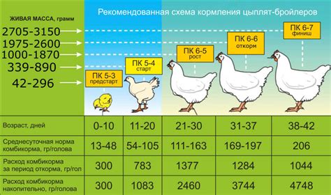 Расчет корма по дням