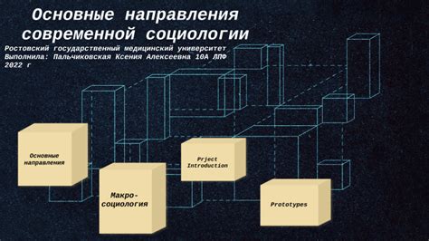 Расширенное понимание покрова смерти в современной социологии