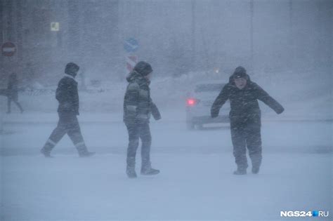 Расширяющиеся сугробы: значение для роста и развития