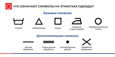 Расшифровка символа: Как цельный кластер винограда может передавать информацию о состоянии женщины?