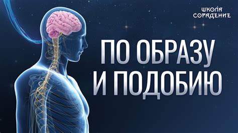 Расшифровка символического значения снов, связанных с получением дохода на банковскую карту