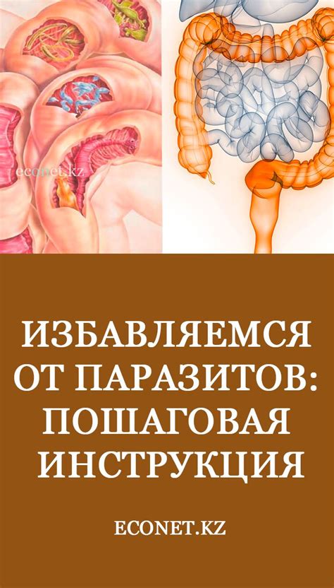 Рациональный подход к предупреждению появления паразитов в пище