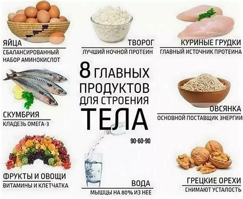 Рацион при сушке тела