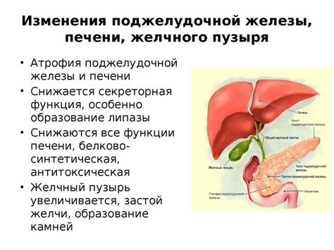 Реактивное увеличение поджелудочной железы