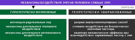 Реактивный мезотелий: механизмы воздействия на организм человека